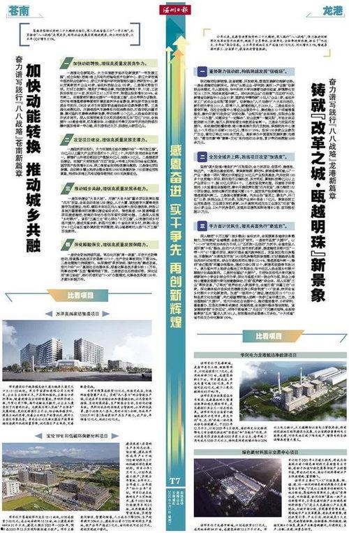 龙港最新爆料,揭秘神秘项目背后的惊人真相 第1张 龙港最新爆料,揭秘神秘项目背后的惊人真相 第1张