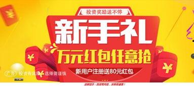 网贷平台最新爆料有哪些,揭秘行业动态与风险预警  第1张